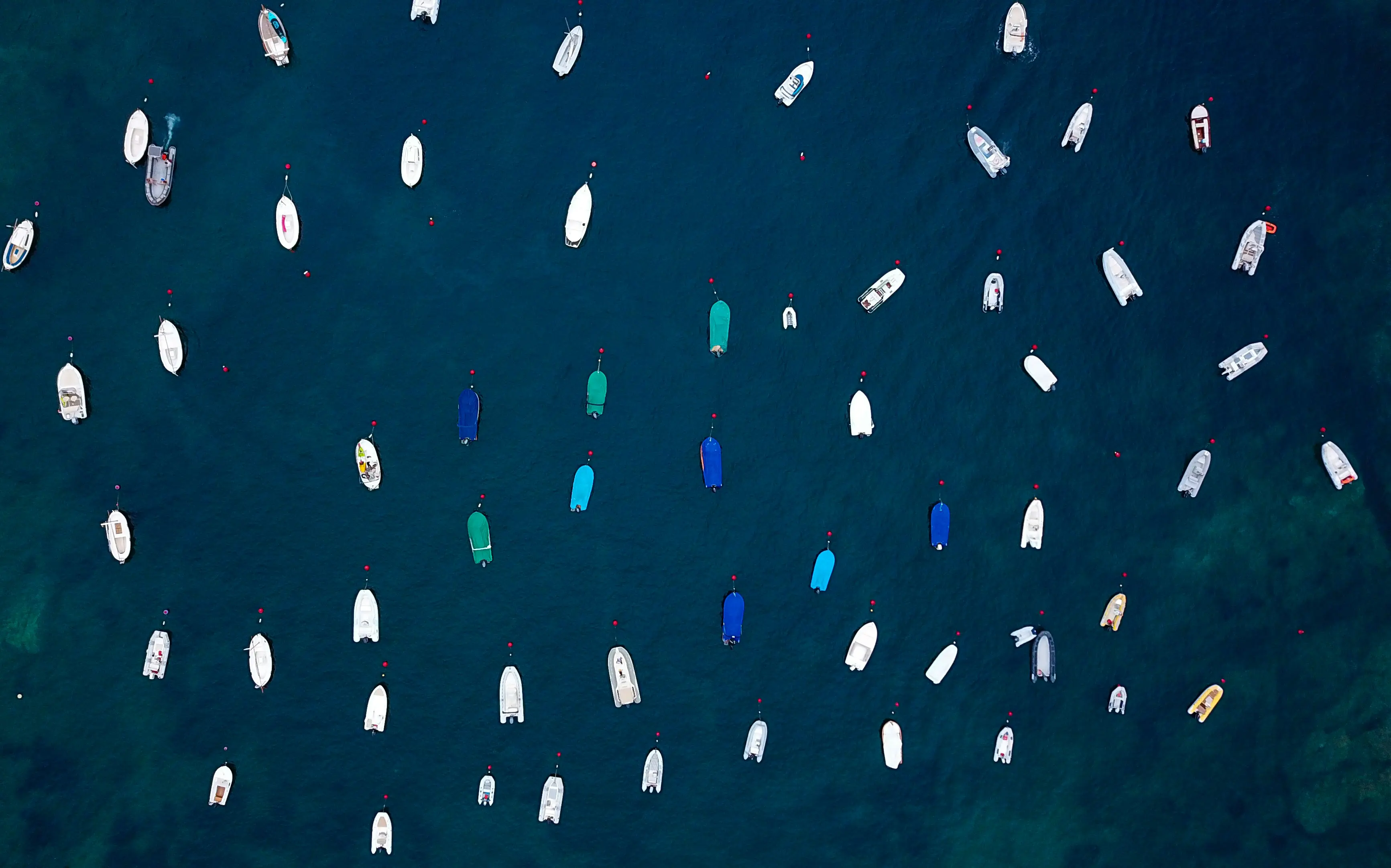 Switching Marina Software Without the Dread: What Onboarding Actually Looks Like