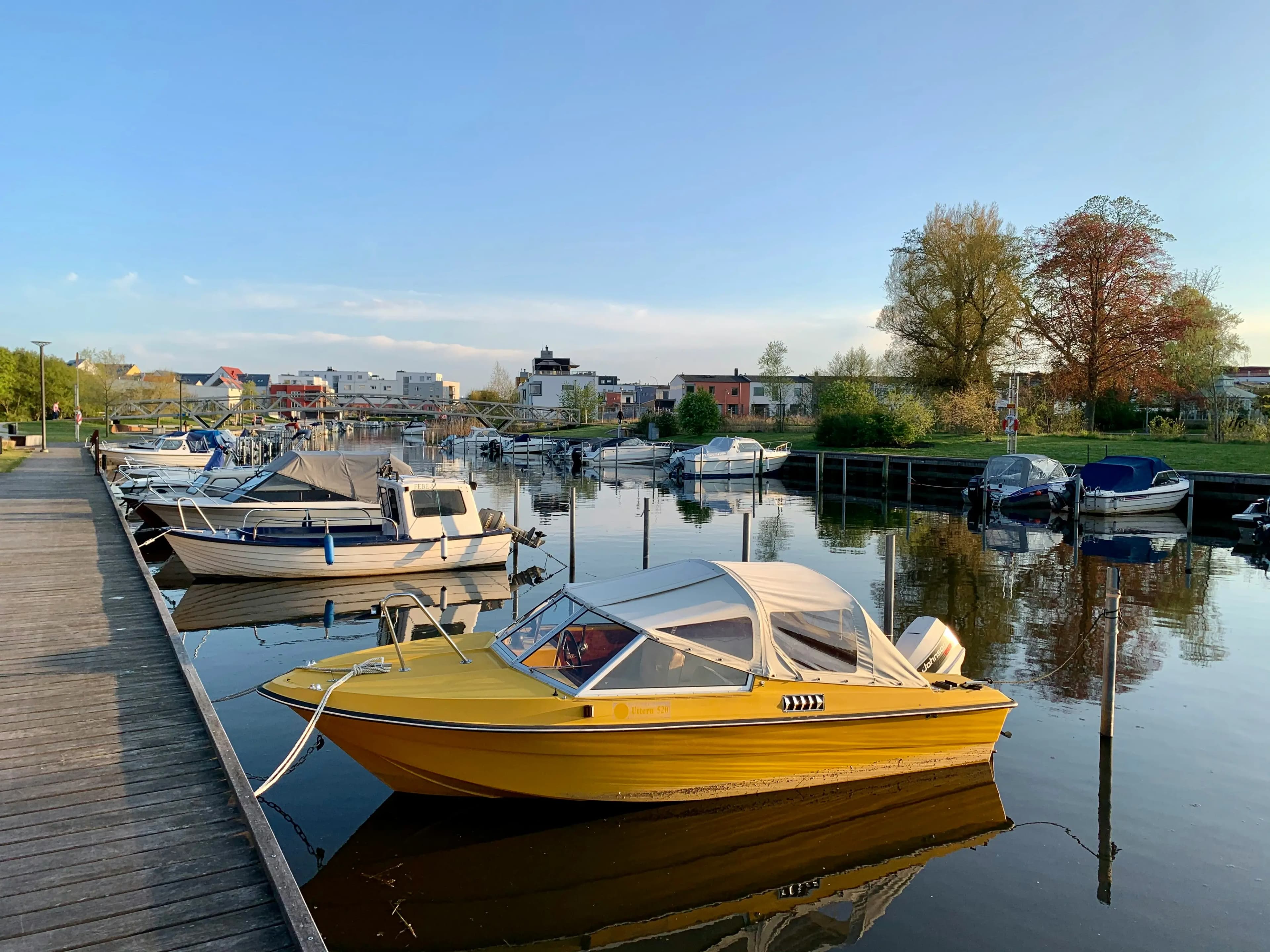 Real-Time Marina Reporting: How One System Builds One Clear Picture