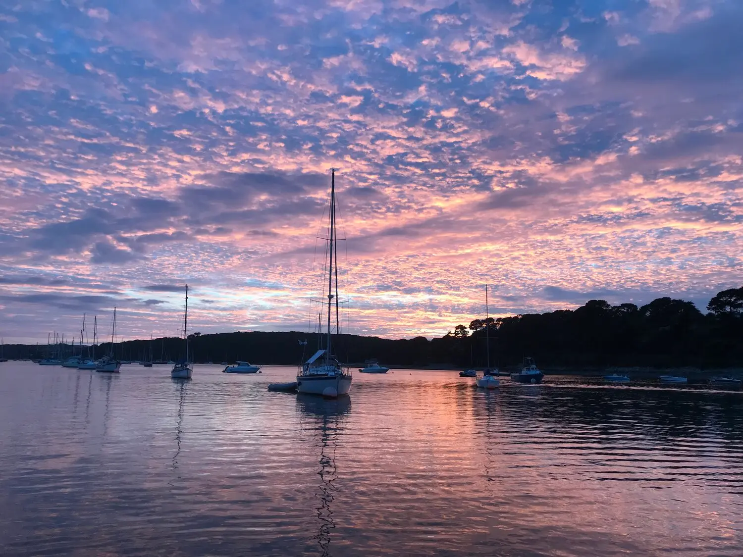 Marina Maintenance Management: A Practical Guide to Work Orders, Inspections and Asset Tracking
